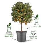 algarve cilindro 30cm mushroom beige